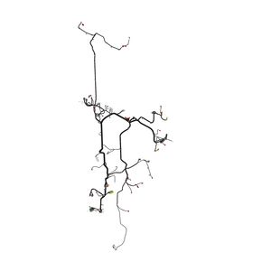 Жгут проводов, Wiring Harness, Chassis Ft4 AKK17685