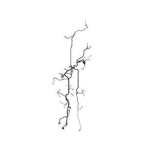 Жгут проводов, Wiring Harness, Chassis Ft4 AKK17685
