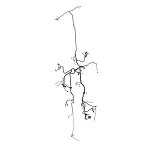 Жгут проводов, Wiring Harness, Chassis Ft4 AKK19194