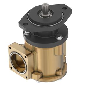 Водяной насос, Water Pump DZ108618