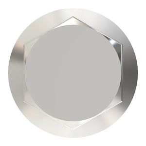 Болт, Bolt, Hex Flange, Mj22x2.5x100, 10. HXE84386