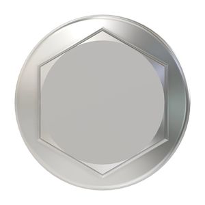 Винт, Screw, Hex Flange Cap R136507