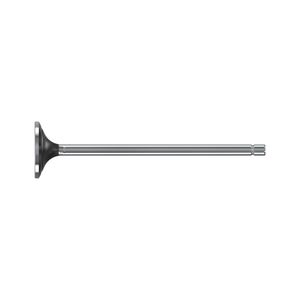 Выхлопной клапан, Exhaust Valve R504061