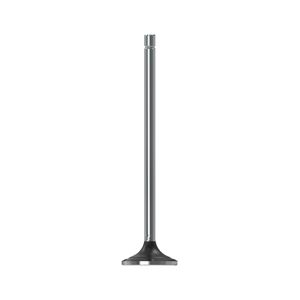 Выхлопной клапан, Exhaust Valve R504061