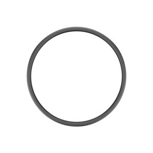 Кольцевой уплотнитель, Sealing Ring, Hot Side Egr R528237