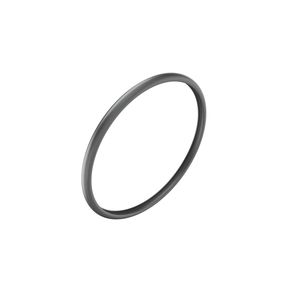 Кольцевой уплотнитель, Sealing Ring, Hot Side Egr R528237