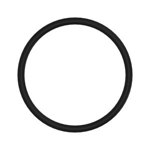 Уплотнительное кольцо, O-ring, Packing R59343
