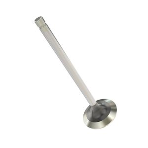 Выхлопной клапан, Exhaust Valve R90692