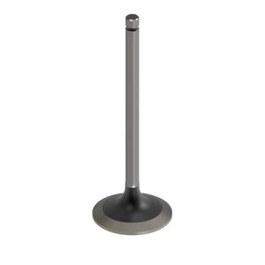 Впускной клапан, Intake Valve R98062