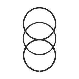 Комплект колец поршня, Piston Ring Kit RE507852