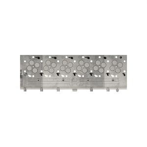 Головка блока цилиндров, Cylinder Head (service) 12.5 RE69912