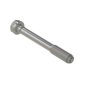 Винт с головкой, Cap Screw, Special Cap R85363
