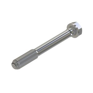 Винт с головкой, Cap Screw, Special Cap R85363