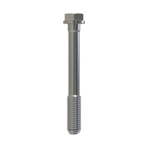 Винт с головкой, Cap Screw, Special Cap R85363